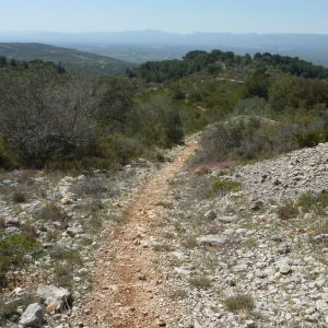 �lbum: Travessa de la serra de Godall