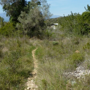 lbum: Travessa de la serra de Godall