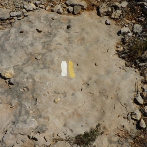 �lbum: Travessa de la serra de Godall