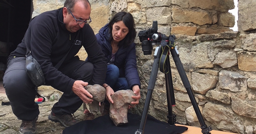 La revista cientfica Cretaceous Research publica un treball amb dinosaures descoberts a Morella