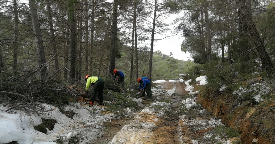 El Parc Natural dels Ports impulsa actuacions urgents per reparar danys del temporal Gloria