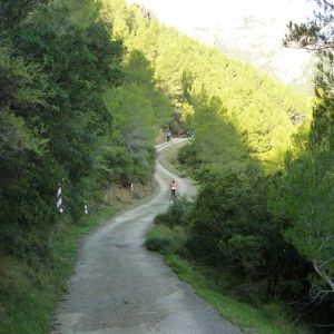 �lbum: marxa de muntanya Trencacims de Pa�ls 2014