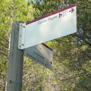 �lbum: marxa de muntanya Trencacims de Pa�ls 2014