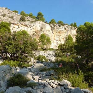 �lbum: marxa de muntanya Trencacims de Pa�ls 2014