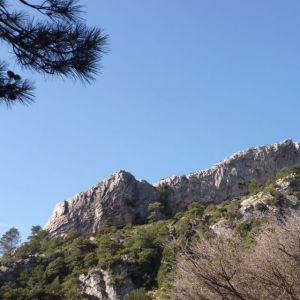 �lbum: marxa de muntanya Trencacims de Pa�ls 2014