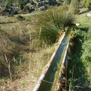 �lbum: marxa de muntanya Trencacims de Pa�ls 2014