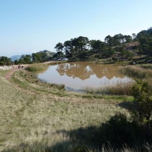 �lbum: marxa de muntanya Trencacims de Pa�ls 2014