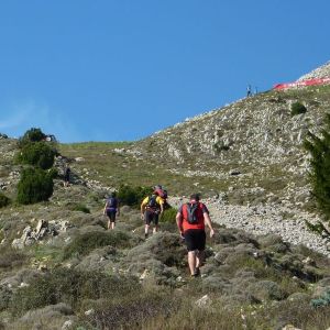 �lbum: marxa de muntanya Trencacims de Pa�ls 2014