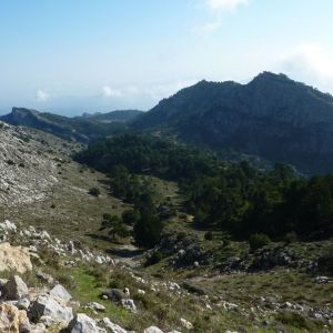 �lbum: marxa de muntanya Trencacims de Pa�ls 2014