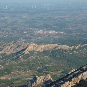 �lbum: marxa de muntanya Trencacims de Pa�ls 2014