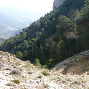 �lbum: marxa de muntanya Trencacims de Pa�ls 2014