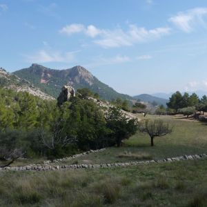 �lbum: marxa de muntanya Trencacims de Pa�ls 2014