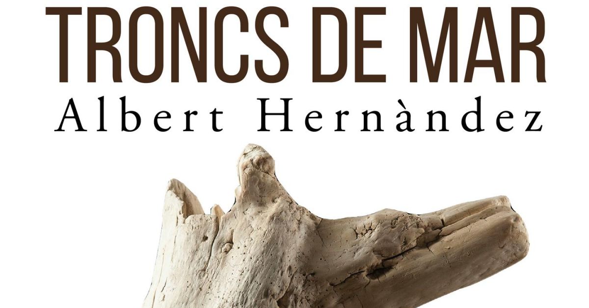 Exposición «Troncs de mar» de Albert Hernàndez Exposición «Troncs de mar» de Albert Hernàndez