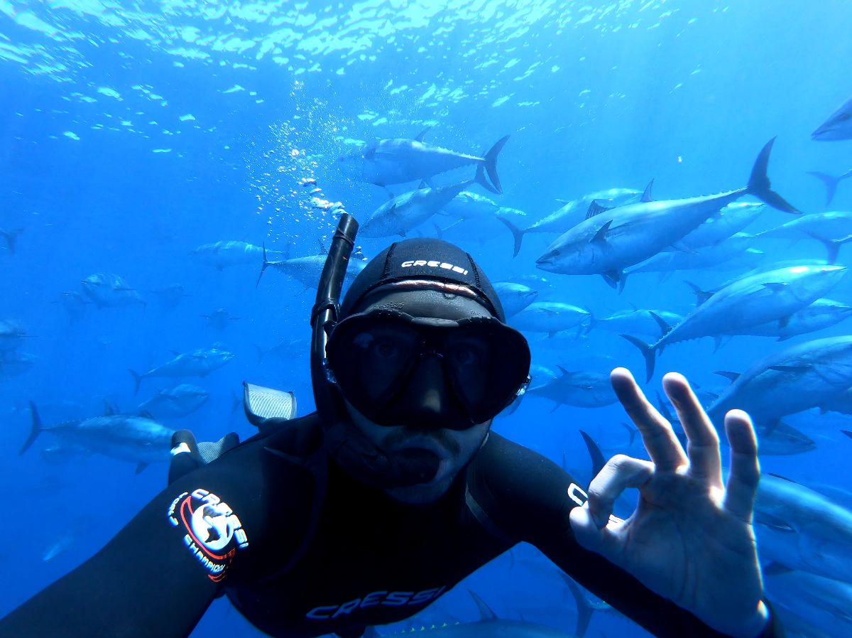 Tuna Tour | EbreActiu.cat, revista digital d&rsquo;oci actiu | Terres de l&rsquo;Ebre ...