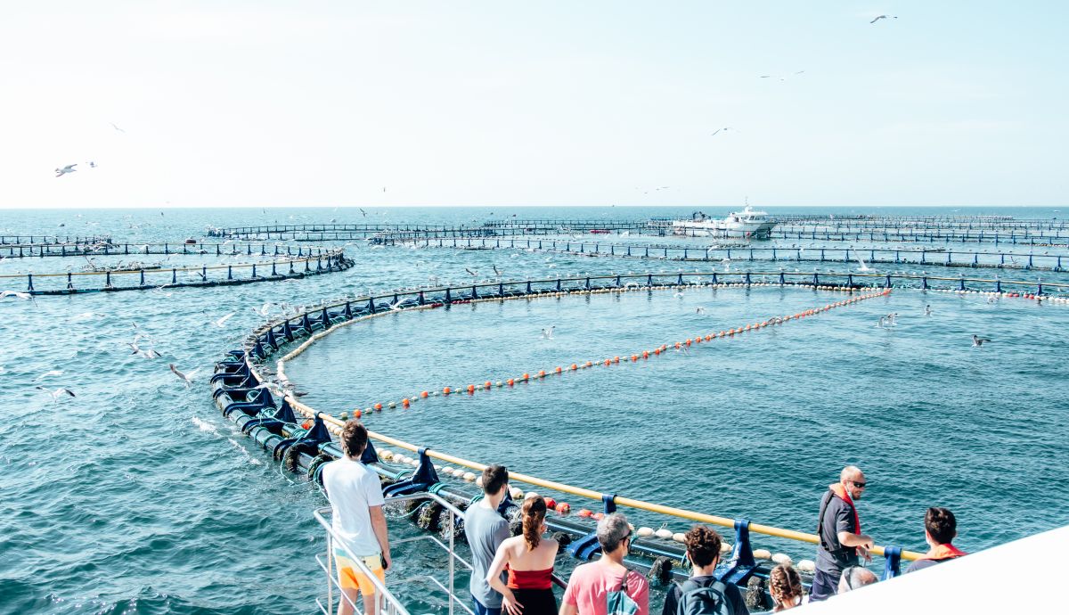 Tuna Tour | EbreActiu.cat, revista digital d&rsquo;oci actiu | Terres de l&rsquo;Ebre ...