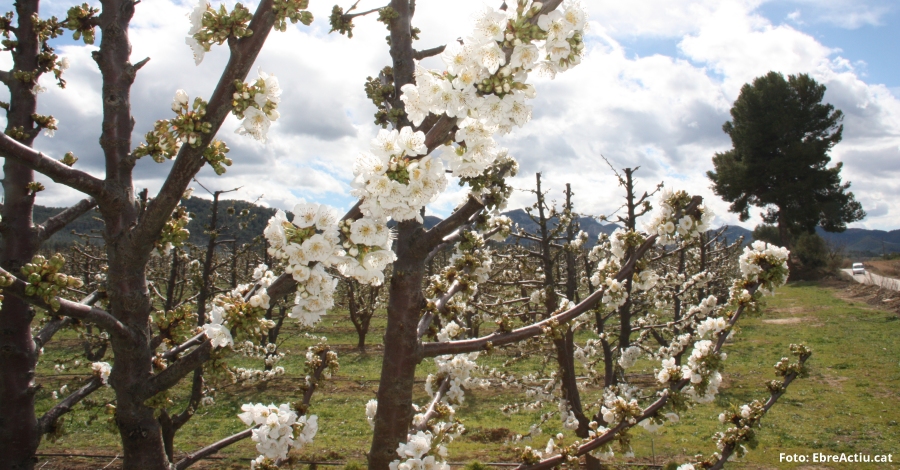 Natura, esport, festa i cultura aquesta Setmana Santa a la Ribera d&rsquo;Ebre | EbreActiu.cat, revista digital d&rsquo;oci actiu | Terres de l&rsquo;Ebre ...