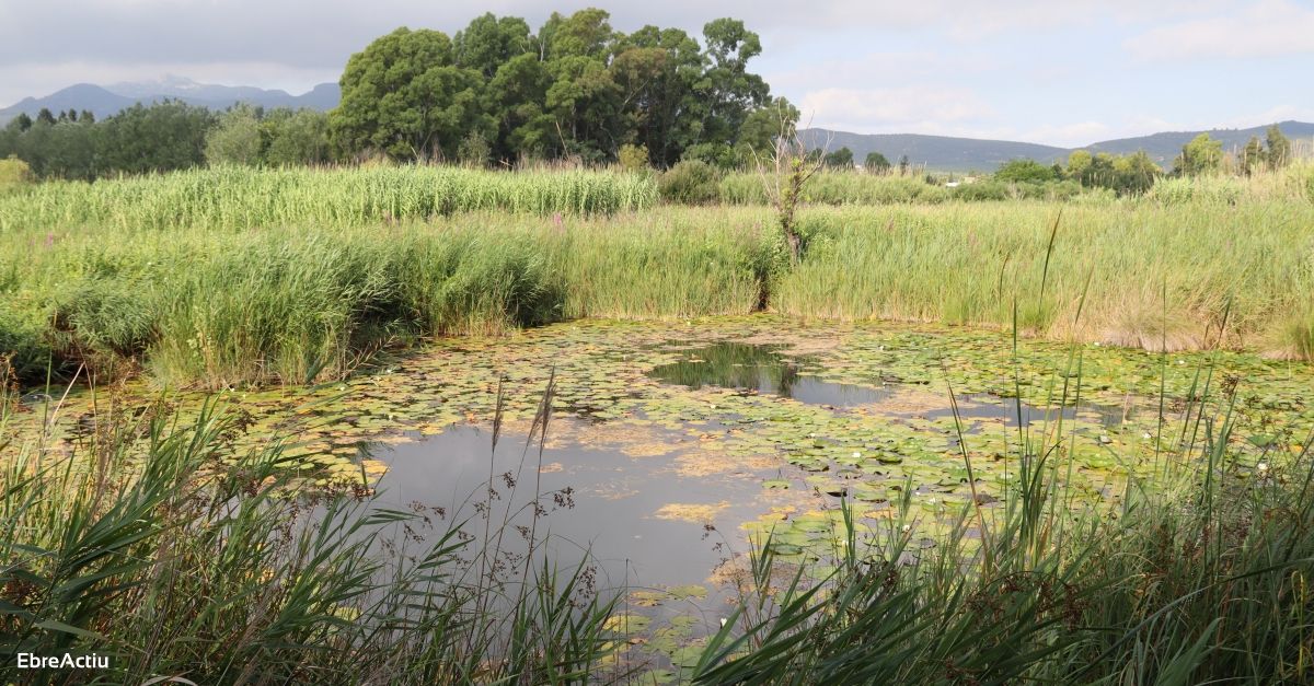 Ullals de Baltasar | EbreActiu.cat, revista digital d’oci actiu | Terres de l’Ebre ... Ullals de Baltasar | EbreActiu.cat, revista digital d’oci actiu | Terres de l’Ebre ...