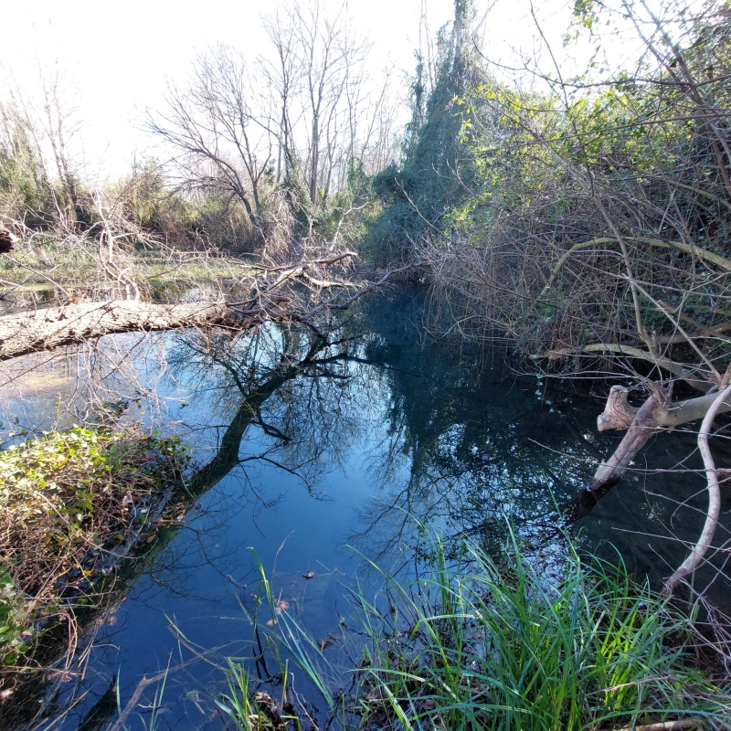 Projectes a les Terres de l’Ebre per la conservaci d’espais naturals: Riberes i Illes de l’Ebre i Ullals de la Carrova | EbreActiu.cat, revista digital d’oci actiu | Terres de l’Ebre ...