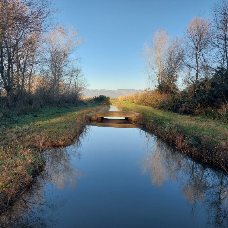 Projectes a les Terres de l’Ebre per la conservaci d’espais naturals: Riberes i Illes de l’Ebre i Ullals de la Carrova | EbreActiu.cat, revista digital d’oci actiu | Terres de l’Ebre ...
