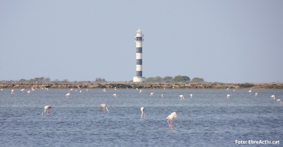 ltima fase del Land Sea