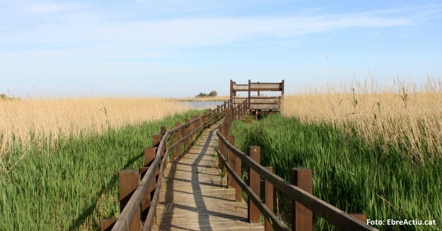 �ltima fase del Land Sea | EbreActiu.cat, revista digital d&rsquo;oci actiu | Terres de l&rsquo;Ebre ...
