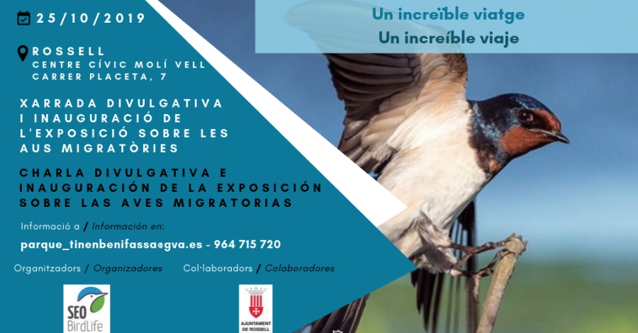 Un incre�ble viaje