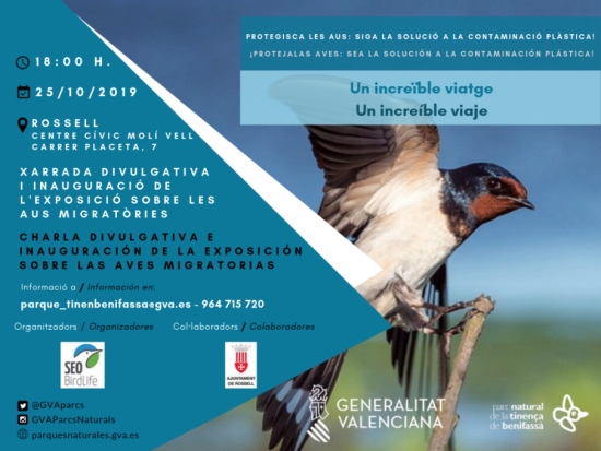 Un incre�ble viatge