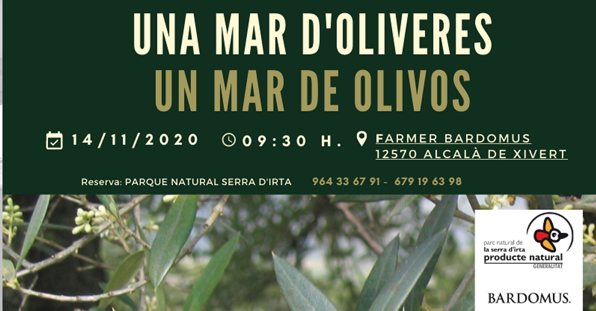 Una mar d&rsquo;oliveres