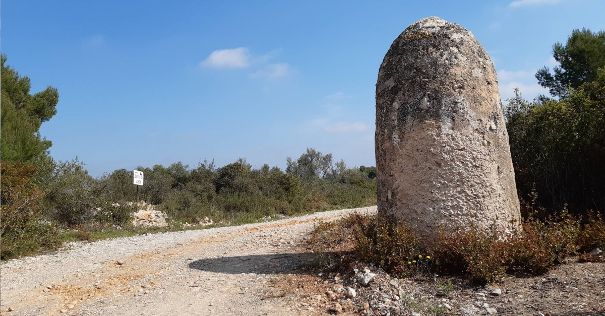 Una Ruta dels Mollons i Forns de Cal per a descobrir el terme de Benicarl