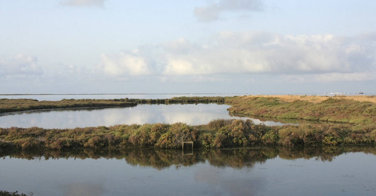 Govern i Estat acorden unificar els plans de protecci del Delta de l’Ebre per fer front a la regressi | EbreActiu.cat, revista digital d’oci actiu | Terres de l’Ebre ...