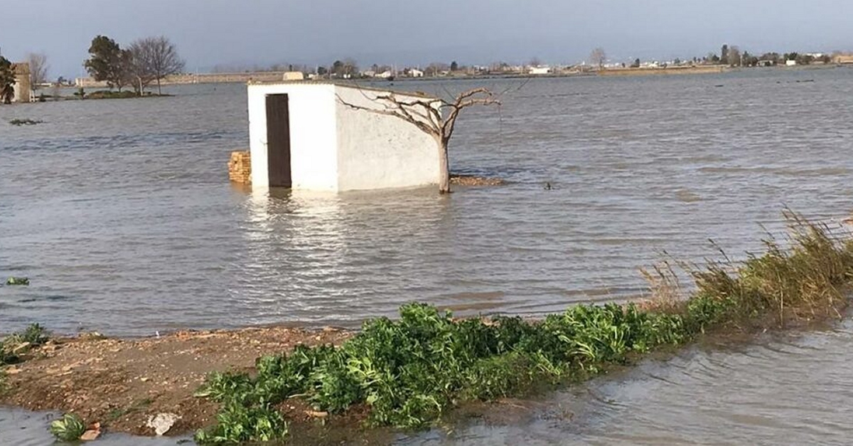 Un any despr�s del Gloria: s&rsquo;accelera l&rsquo;agonia del delta de l&rsquo;Ebre davant la passivitat de les administracions | EbreActiu.cat, revista digital d&rsquo;oci actiu | Terres de l&rsquo;Ebre ...