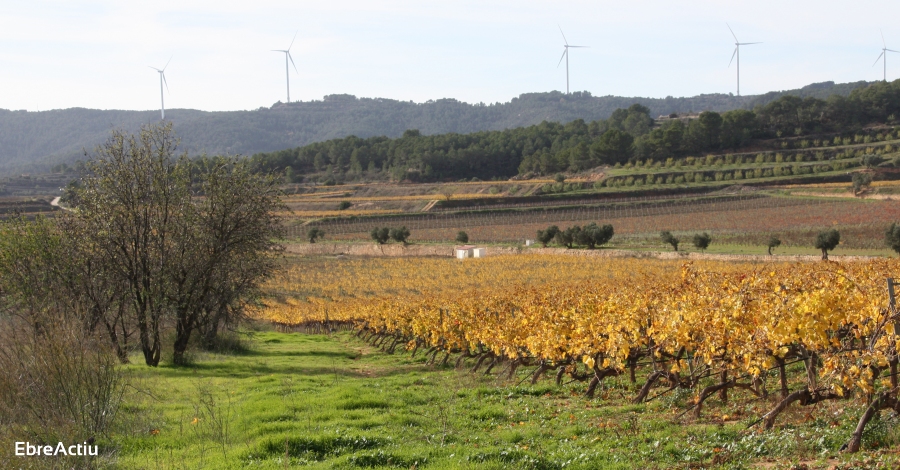 Uni de Pagesos reitera la seva oposici a la massificaci dels equipaments denergia elica i fotovoltaica a la Terra Alta i a la Ribera dEbre