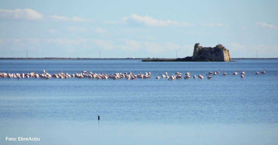 Un projecte de la URV analitza el paisatge del delta de l&rsquo;Ebre trav�s d&rsquo;informaci� geogr�fica volunt�ria | EbreActiu.cat, revista digital d&rsquo;oci actiu | Terres de l&rsquo;Ebre ...