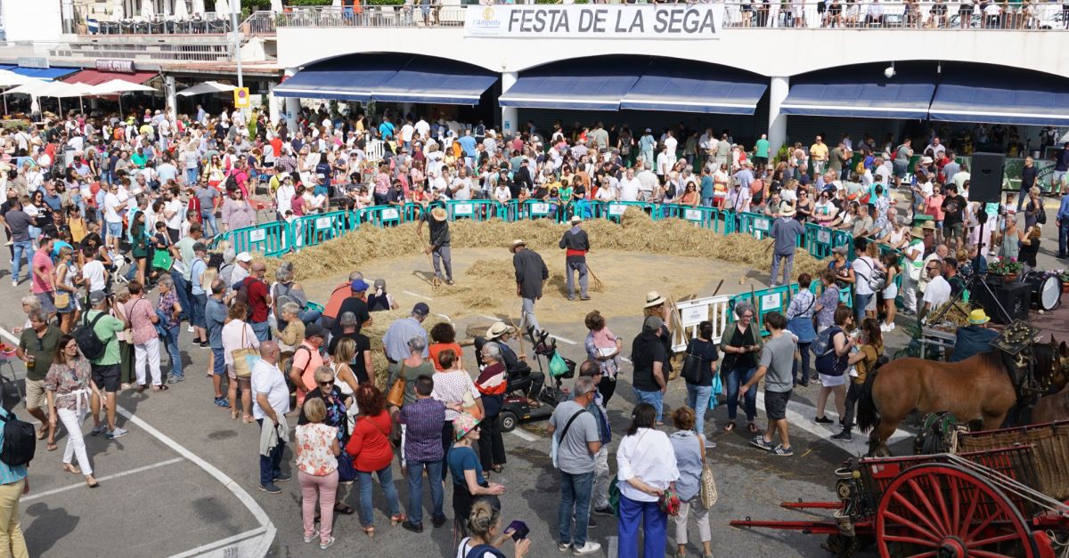 La XXI Festa de la Sega de lAmpolla reuneix unes 1.500 persones