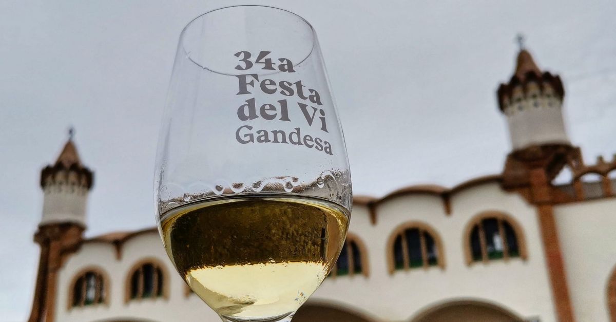 Prop de 15.000 degustacions a la Mostra de Vins de la DO Terra Alta | EbreActiu.cat, revista digital d’oci actiu | Terres de l’Ebre ...