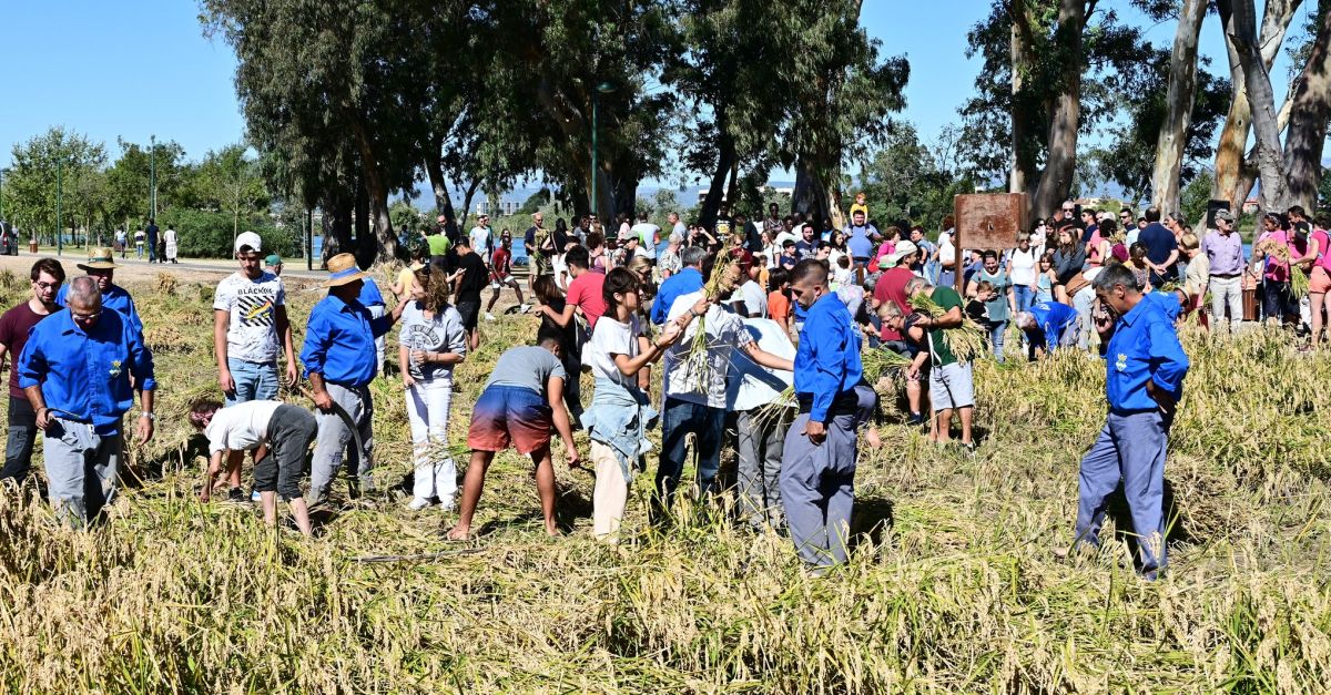 Sant Jaume d’Enveja celebra amb xit les Jornades Somriu | EbreActiu.cat, revista digital d’oci actiu | Terres de l’Ebre ...
