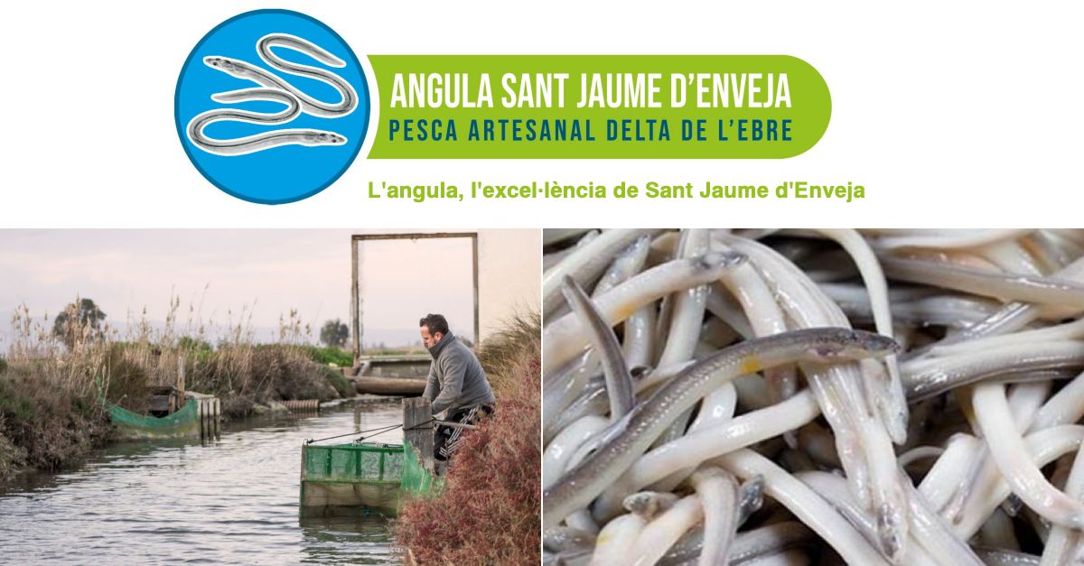 LANGULA DE SANT JAUME DENVEJA