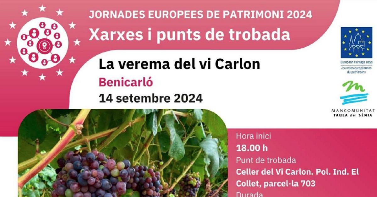 Visita guiada �La vend�mia del Vino Carlon�