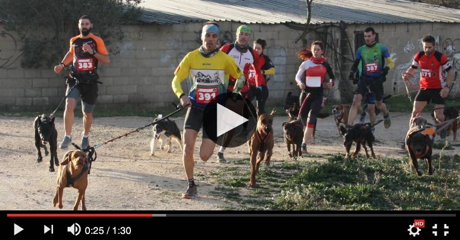 Vdeo del 12 Canicrs Les 2 Torres de Campred