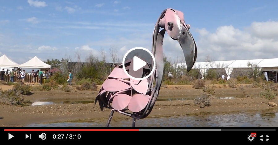 Vdeo del Delta Birding Festival 2019