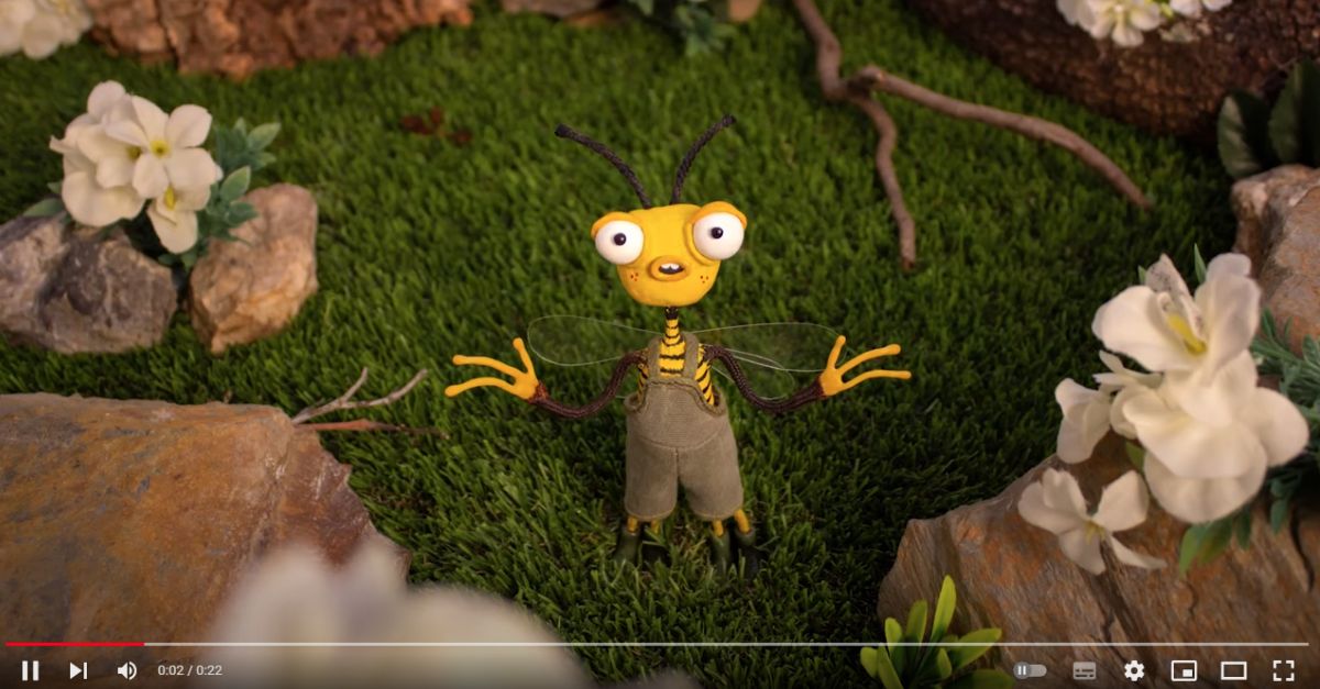 El Grup de Natura Freixe presenta quatre cpsules divulgatives sobre els insectes pollinitzadors i la importncia que t la seva conservaci