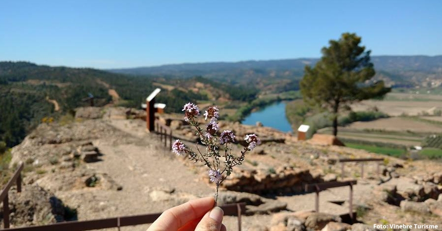 Vinebre organitza la Ruta de les Ermites