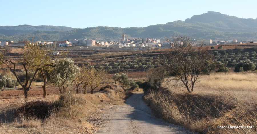 Els vins de la DO Terra Alta mariden l’estiu | EbreActiu.cat, revista digital d’oci actiu | Terres de l’Ebre ...