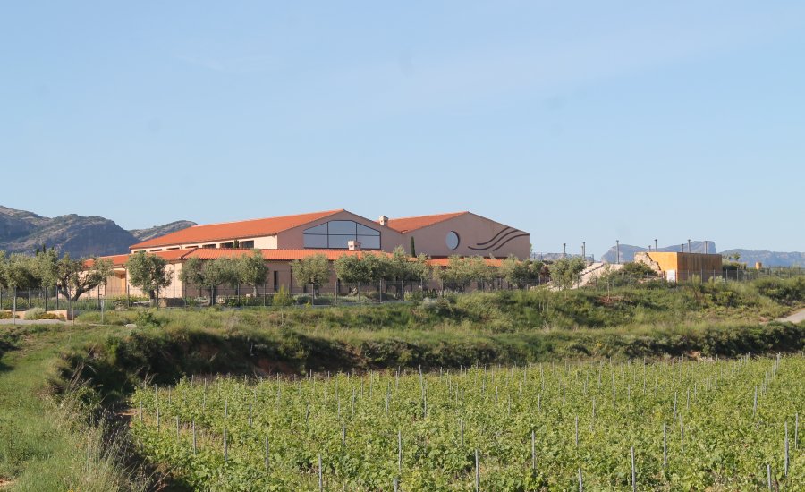Bodega Les Vinyes del Convent | EbreActiu.cat, revista digital de ocio activo | Terres de l’Ebre... Bodega Les Vinyes del Convent | EbreActiu.cat, revista digital de ocio activo | Terres de l’Ebre...