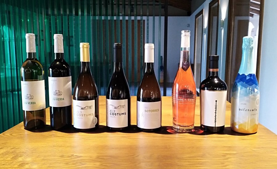 Celler Les Vinyes del Convent | EbreActiu.cat, revista digital d&rsquo;oci actiu | Terres de l&rsquo;Ebre ...