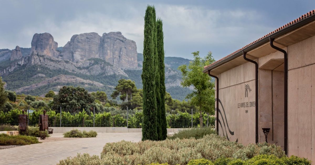 Les Vinyes del Convent obt el Premi Qualitat Ebrenca 2021 | EbreActiu.cat, revista digital d’oci actiu | Terres de l’Ebre ...