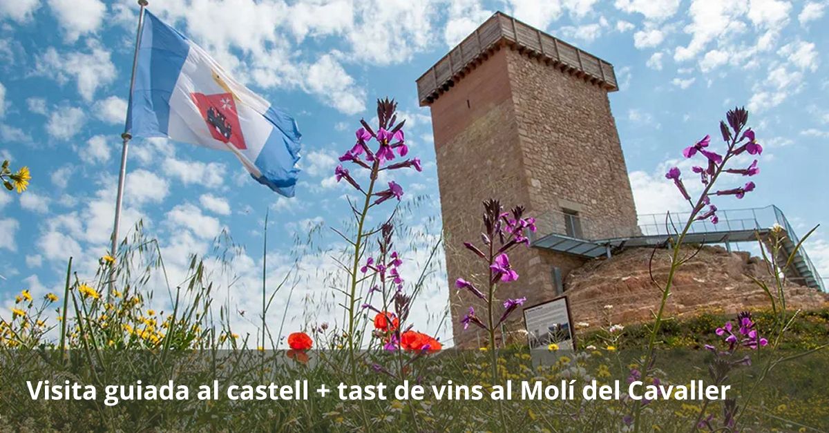 Visita guiada al castillo+ degustaci�n de vinos en el Mol� del Cavaller