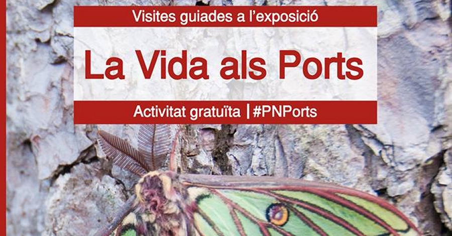 Visita guiada a la exposici�n La Vida als Ports