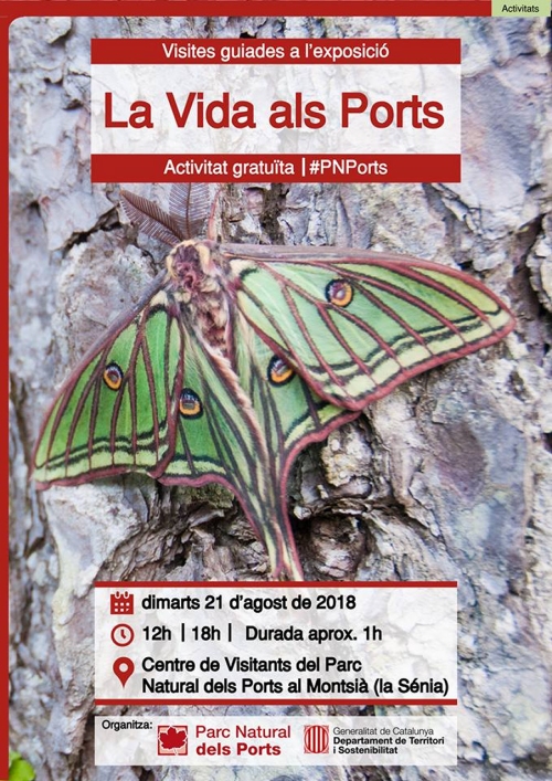 Visita guiada a l�exposici� La Vida als Ports