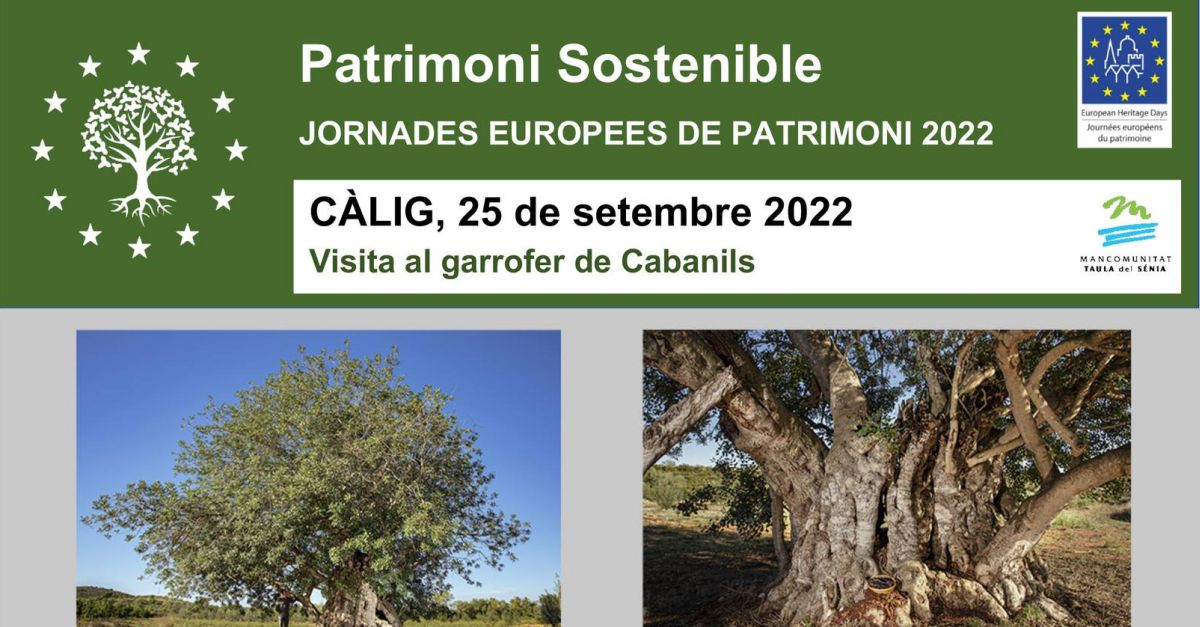 Visita guiada al garrofer monumental de Cabanils de C�lig